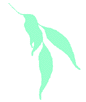 Horticultural Training Pty Ltd - Brisbane Private Schools