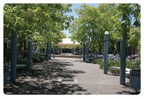 Mary MacKillop College - Brisbane Private Schools 1