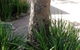 Northside Montessori School - thumb 1