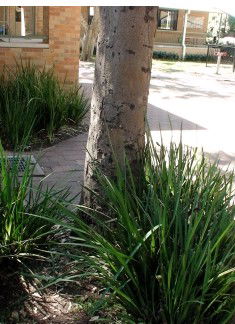 Northside Montessori School - Brisbane Private Schools 1