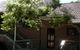 Northside Montessori School - thumb 2