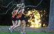 Fairholme College - thumb 9
