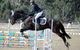 Fairholme College - thumb 16