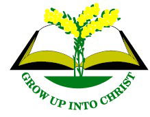  Brisbane Private Schools