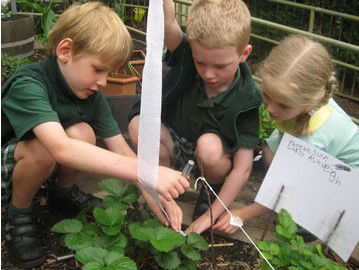 Highfields Preparatory And Kindergarten School - Brisbane Private Schools 2