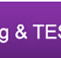 Institute of Continuing and Tesol - Brisbane Private Schools