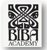 Biba Institution - Brisbane Private Schools 0