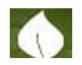 SA COLLEGE OF NATURAL AND TRADITIONAL MEDICINE PTY LTD - Brisbane Private Schools 0