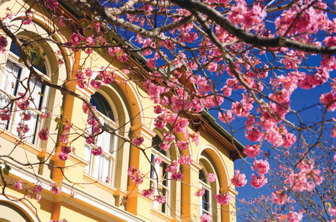 Brisbane Girls Grammar School - Brisbane Private Schools 3