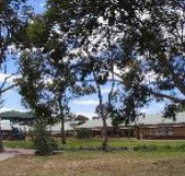Clayton View Primary School - Brisbane Private Schools