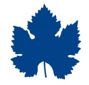 Mclaren Vale Primary School - Brisbane Private Schools