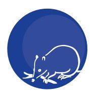 Mylor Primary School - Brisbane Private Schools