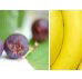Beck Health  Nutrition - Brisbane Private Schools