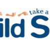 Child Side School - Brisbane Private Schools