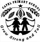 Capel WA Schools and Learning Brisbane Private Schools Brisbane Private Schools