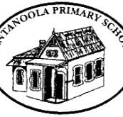 Tantanoola Primary School - Brisbane Private Schools
