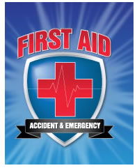 First Aid Accident And Emergency Courses - Brisbane Private Schools 0