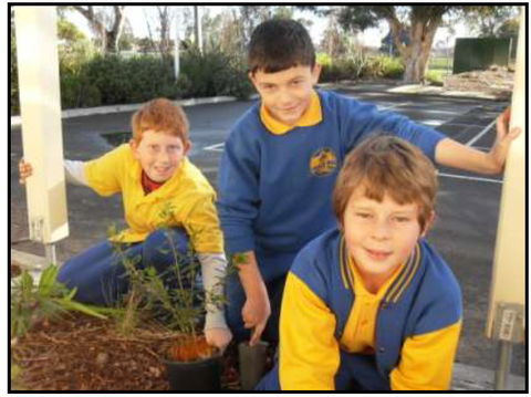 Avondale Primary School - Brisbane Private Schools 1