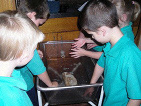 Naranga School  - Brisbane Private Schools 3