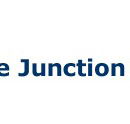 Eagle Junction State School - Brisbane Private Schools