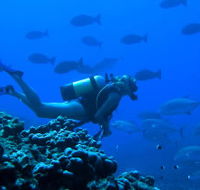 Aquatic Adventures Courses - Brisbane Private Schools