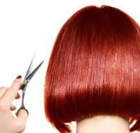 The Angel Hair  Beauty Institute- Hair  Beauty School Ballarat - Brisbane Private Schools