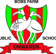 Bobs Farm Public School - Brisbane Private Schools