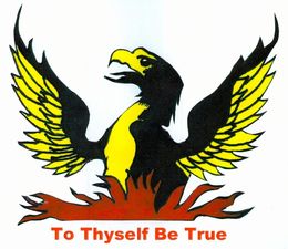 Bodalla Public School - Brisbane Private Schools 0