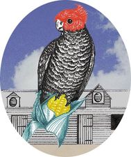  Brisbane Private Schools