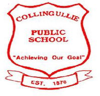 Collingullie Public School - Brisbane Private Schools