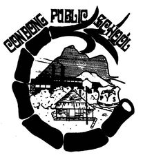 Condong Public School - Brisbane Private Schools 0