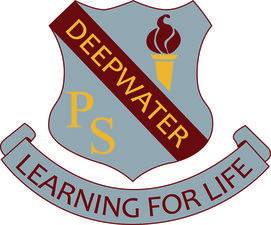 Deepwater Public School - Brisbane Private Schools 0