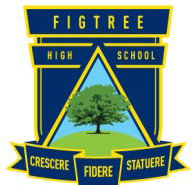 Figtree High School - Brisbane Private Schools