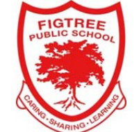 Figtree Public School - Brisbane Private Schools