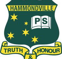 Hammondville Public School - Brisbane Private Schools