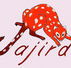 Jajirdi Consultants - Brisbane Private Schools