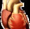 Lynex Health Care  Training Services - Brisbane Private Schools