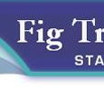 Fig Tree Pocket State School - Brisbane Private Schools