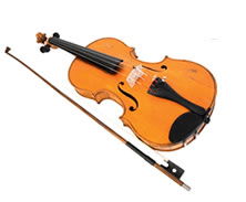 Violin Sports - Brisbane Private Schools 0