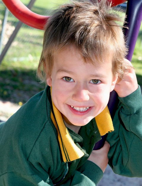 Hilton Primary School - Brisbane Private Schools 0