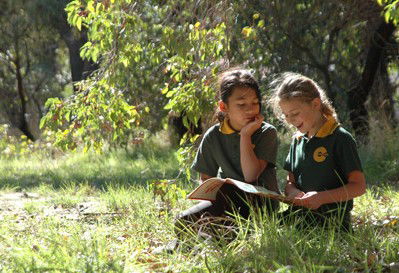 Hilton Primary School - Brisbane Private Schools 1