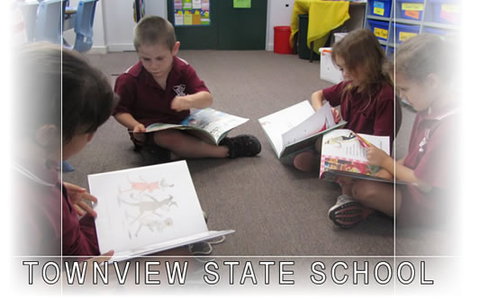 Townview State School - Brisbane Private Schools 0