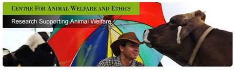 Centre For Animal Welfare And Ethics - Brisbane Private Schools 0