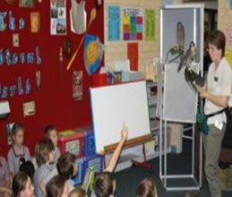 Ellenbrook Christian College - Brisbane Private Schools 2