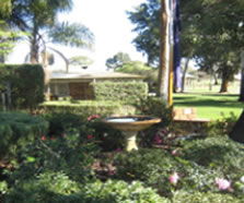 Rostrata Primary School - Brisbane Private Schools 2