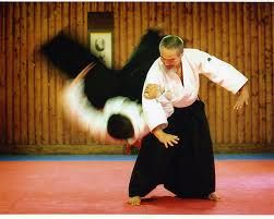 Warrior Martial Arts School - Brisbane Private Schools 6