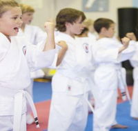 Karate Kids Perth - Brisbane Private Schools