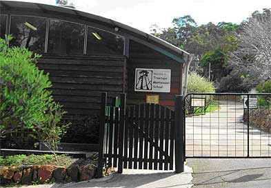 Treetops Montessori Primary School - Brisbane Private Schools 0