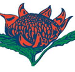 Hurstville South Public School - Brisbane Private Schools