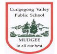 Cudgegong Valley Public School - Brisbane Private Schools